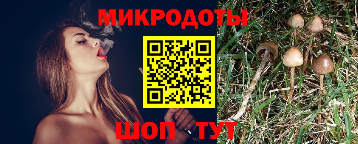 Галлюциногенные грибы Cubensis Донецк