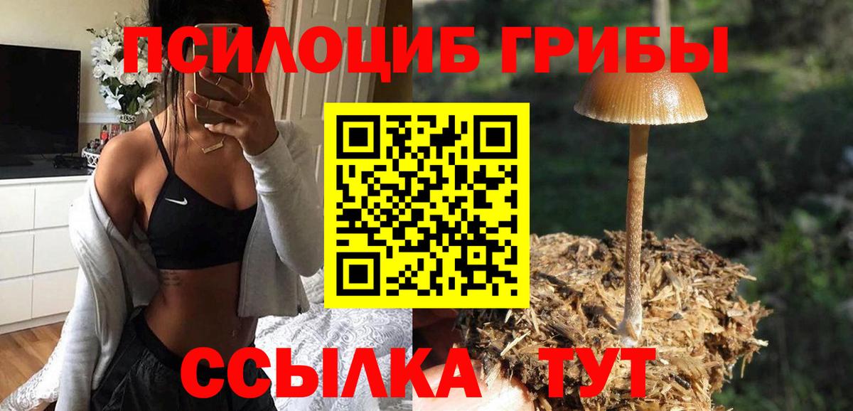 Галлюциногенные грибы Psilocybe  Галлюциногенные грибы GOLDEN TEACHER  Вход с VPN  Донецк 